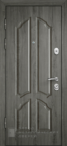 Фото «Дверь с терморазрывом №35» в Долгопрудному