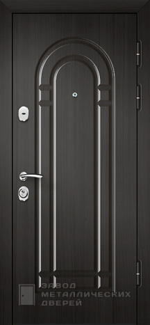 Фото «Дверь с зеркалом №49» в Солнечногорску